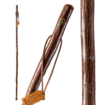 48 Inch, Free-Form Hickory Sapling