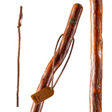55 Inch, Free-Form Sapling Sassafras