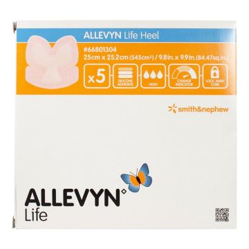 Smith and Nephew Allevyn 66801307 Life
