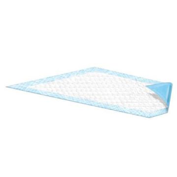 DRI-FLO Disposable Underpads