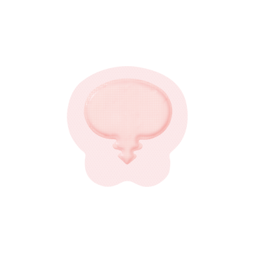 6-5/8 X 6-3/4 Inch, Sacrum