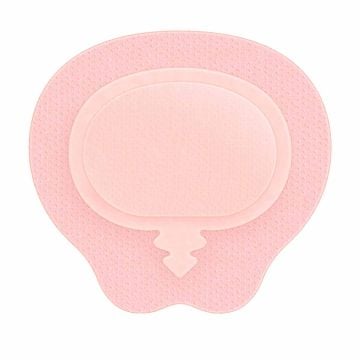 Sacrum 8 1/2 Inch x 9 Inch