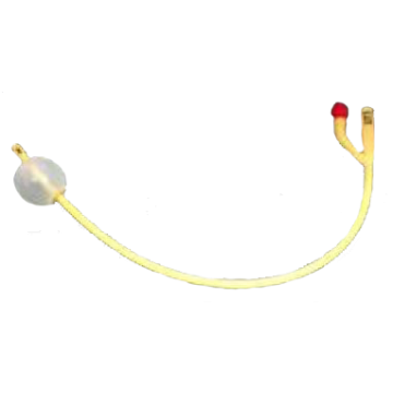 AMSure Two Way Silicone Coated Latex Foley Catheters