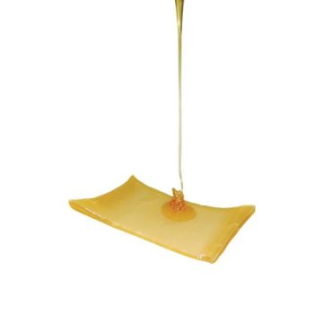 Advazorb Border Hydrophilic Foam Dressing