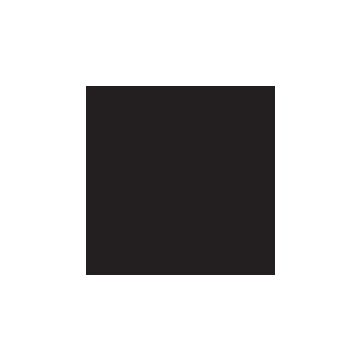 Black Color Swatch