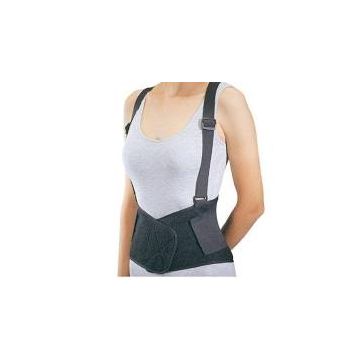 Industrial Back Support