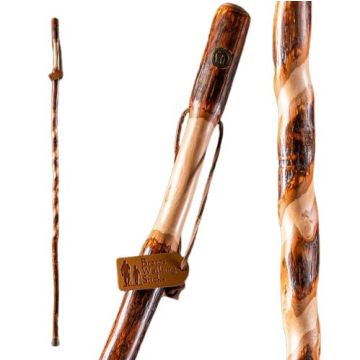 Twisted Hickory Sapling