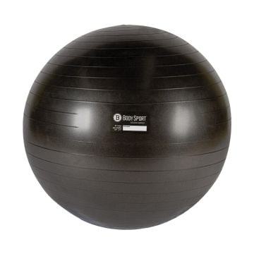 Body Sport Eco Studio Series Fitness Balls
