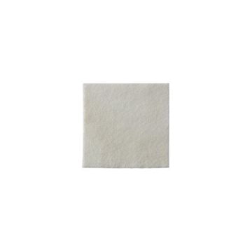 Biatain Alginate Dressing 3705 | 2 x 2 Inch by Coloplast