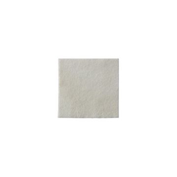Biatain Alginate Dressing 3710 | 4 x 4 Inch by Coloplast