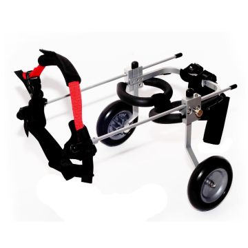 X-Small