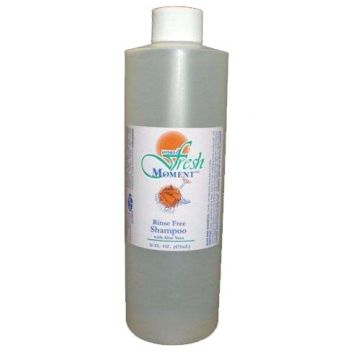 Fresh Moment Rinse Free Shampoo