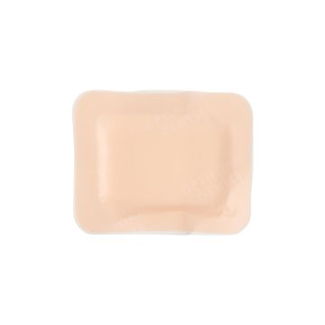 1.6 Inch x 2 Inch