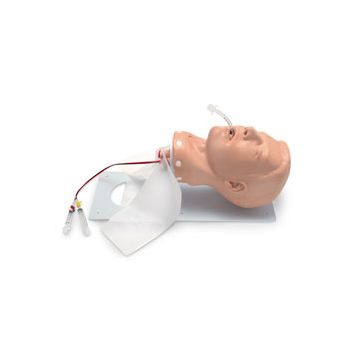 Nasco Adult Deluxe Airway Management Trainer