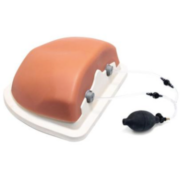 Nasco Image Guided Thoracic Spinal Injection Trainer