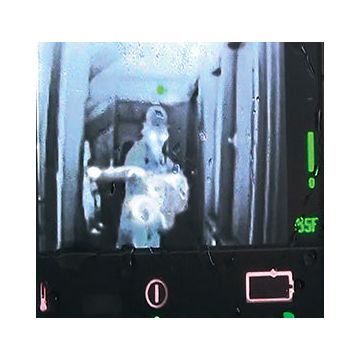 Nasco Thermal Image Randy