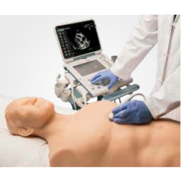 Nasco Focused Assessment with Sonography for Trauma