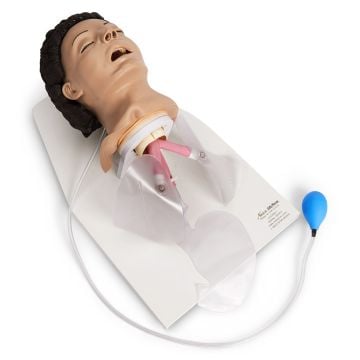 Nasco Life Form Adult Airway Management Trainer with Stand
