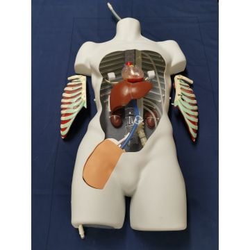 Nasco VausSim PerfusionSim