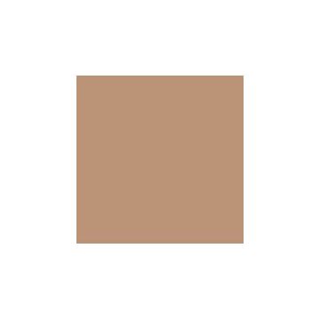 Sand Color Swatch