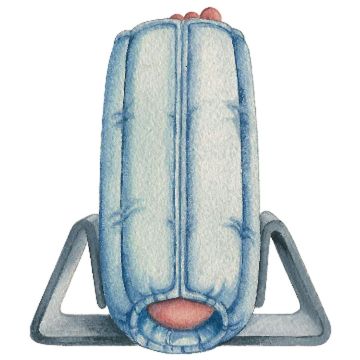 skil-care stabilizer