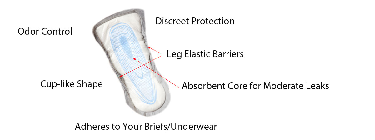 Incontinence Guards Anatomy