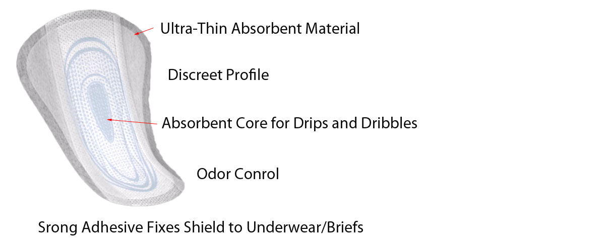 Shields Anatomy