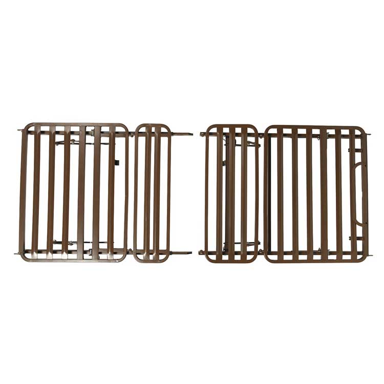 Competitor II Frame