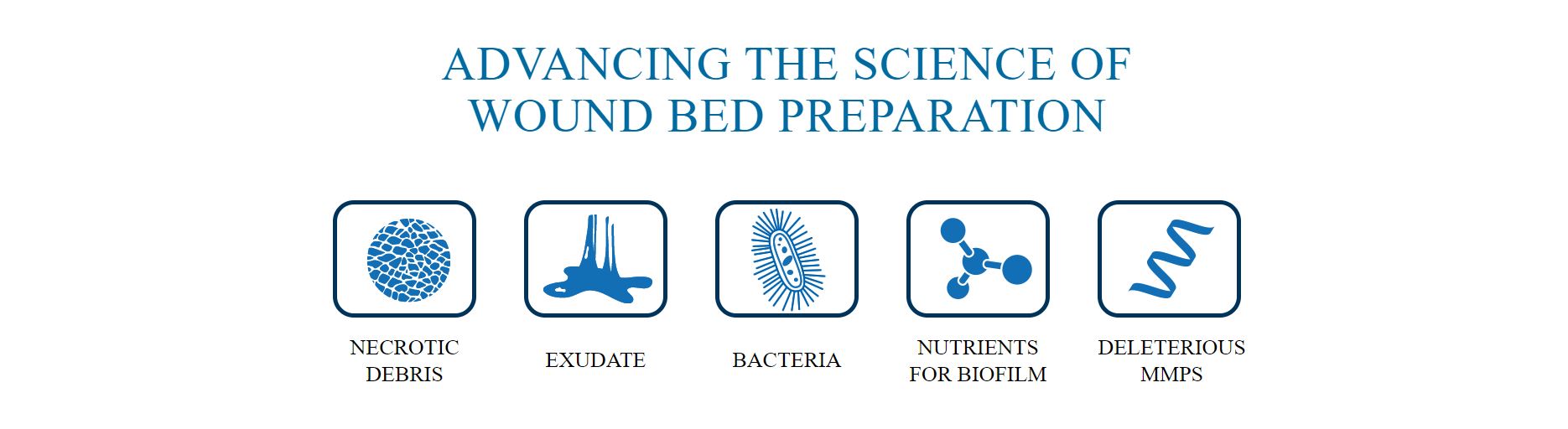 Advanced Wound Bed Preparation