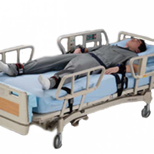 Posey 5 Point Restraint 2219 Quick Release, Locking Buckle Vitality