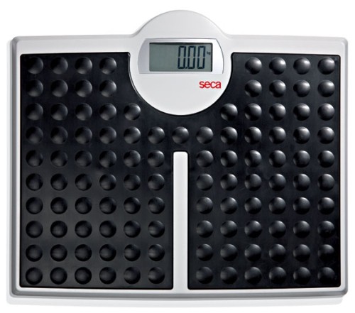 Seca High Capacity Digital Floor Scale 8131321009
