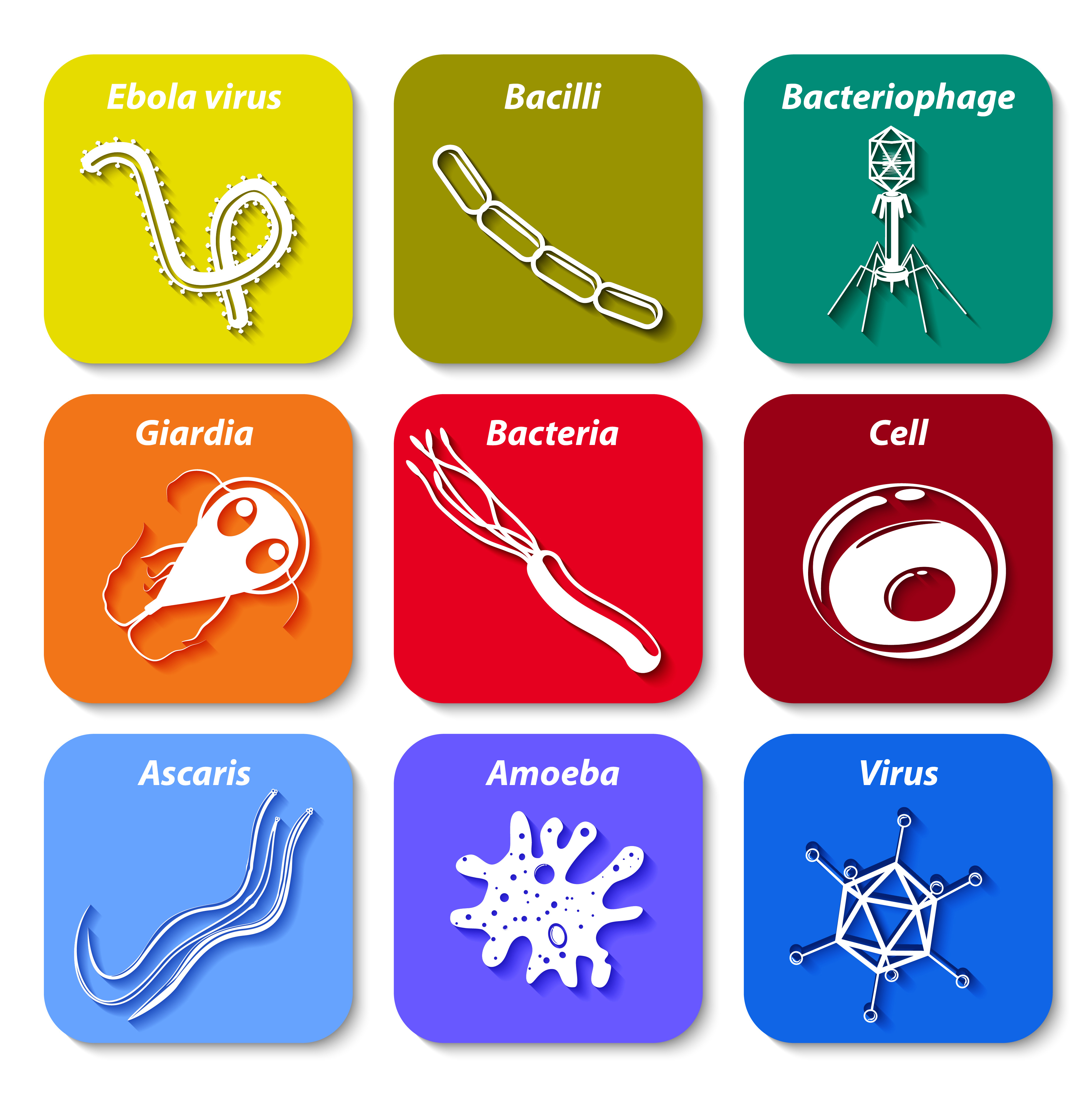 Germs
