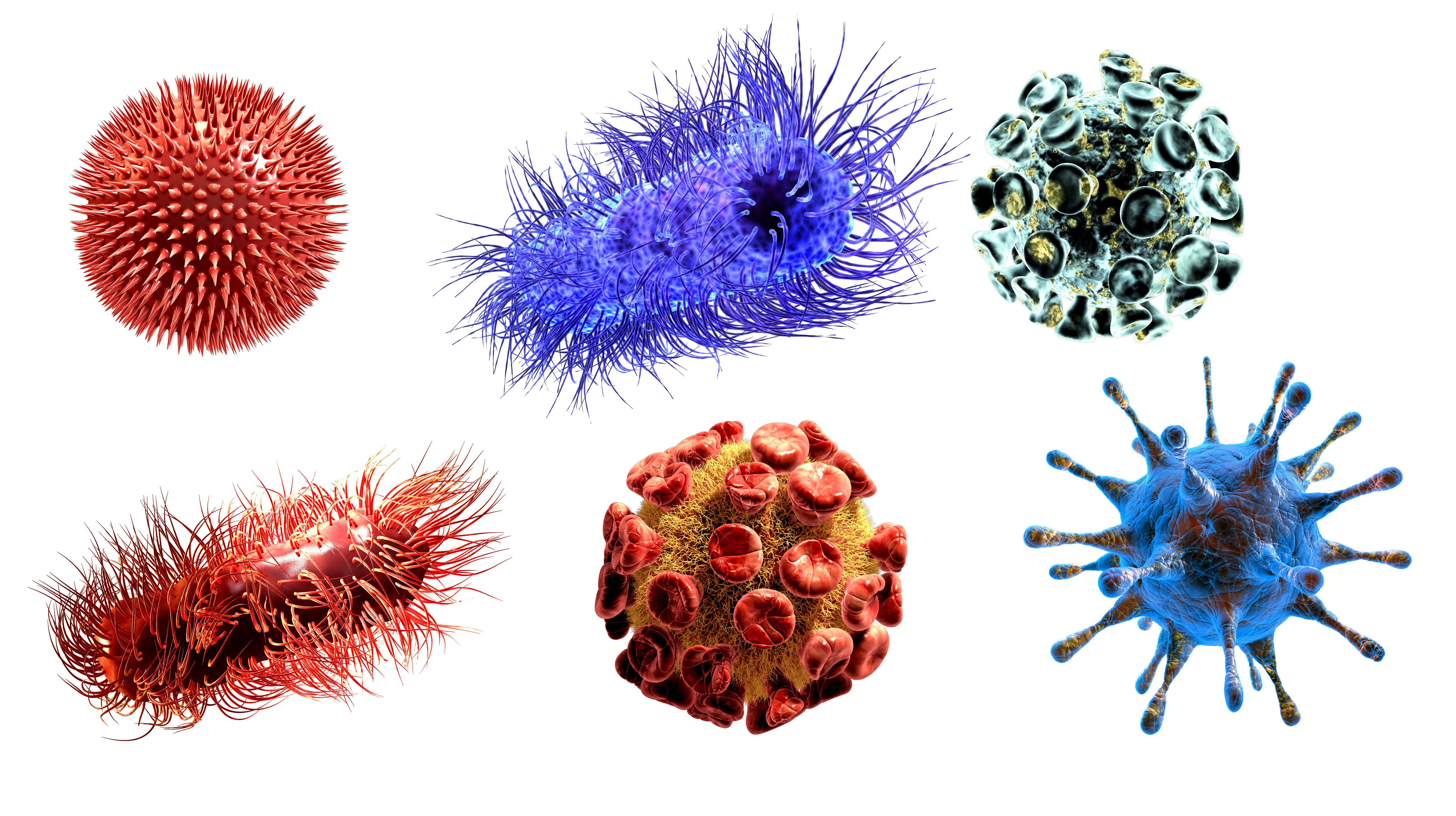 Harmful Germs