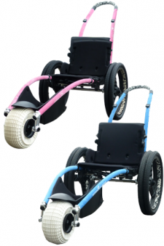 Pink or Blue Options