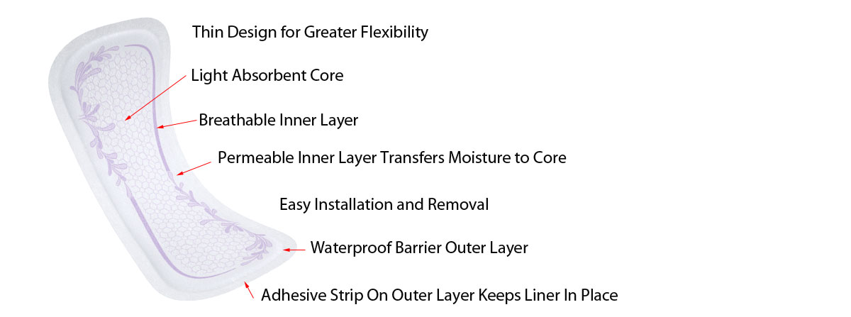 Liner Anatomy