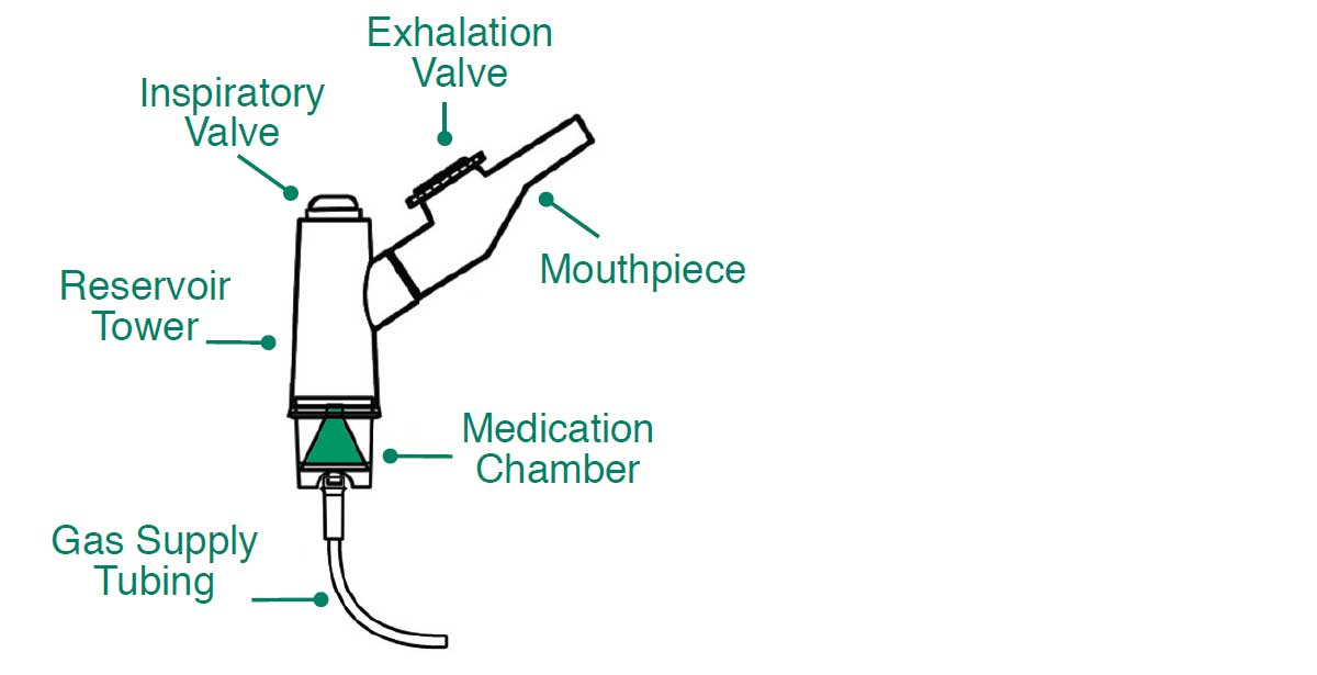 NebuTech Anatomy