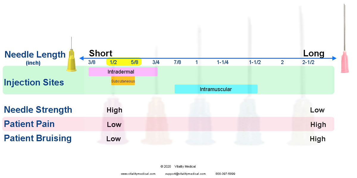 Length Continuum