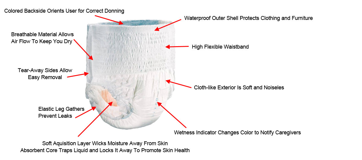 Protective Underwear Anatomy