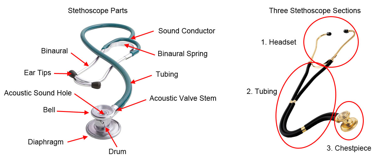 Anatomy of a Stethoscope: Everything You Need to Know 