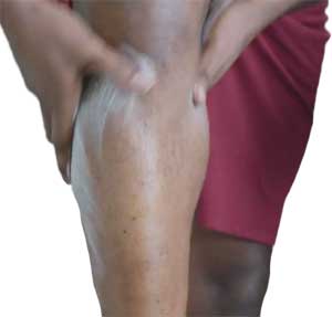 Calf Application