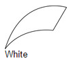 White X Large