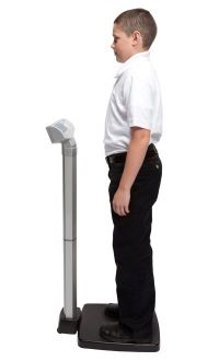 Heavy Duty Waist High Digital Scale