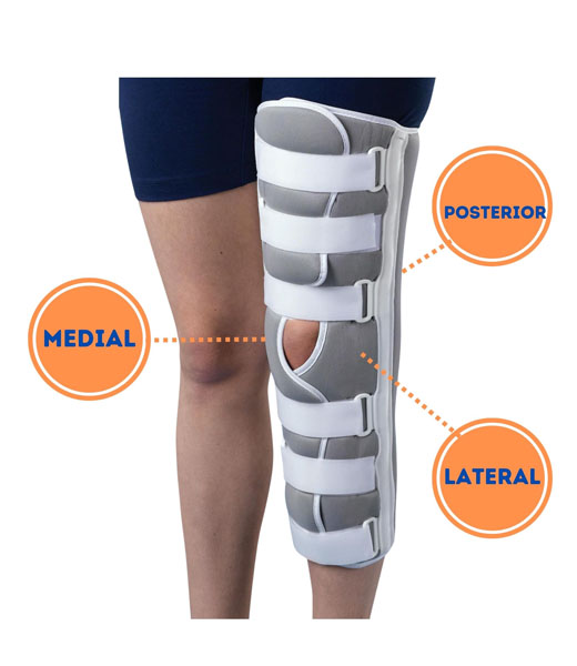 Knee Immobilizer with labelled removable stays.