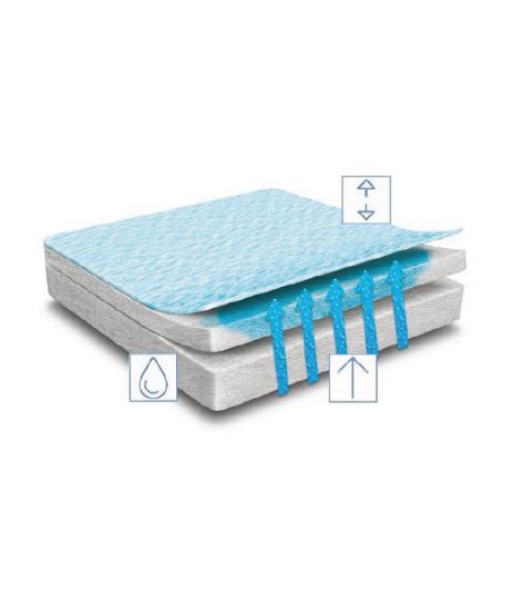 Absorbent Layers of the dressings.