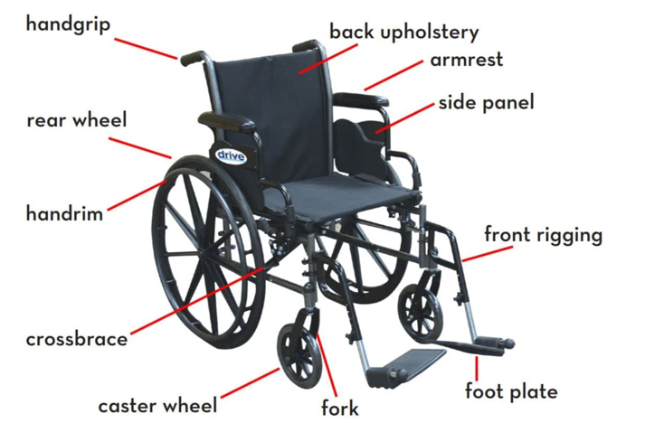 fetchpriority= Wheelchair Anatomy