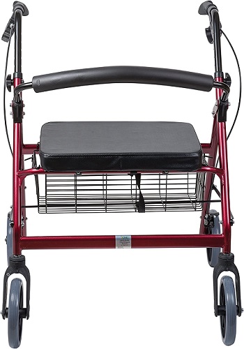 A view of the DMI Extra-Wide Rollator from the back.