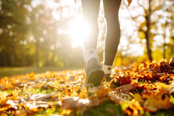 Closeup view of woman walking in fall foliage