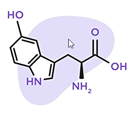 Natrol 5-HTP Molecule