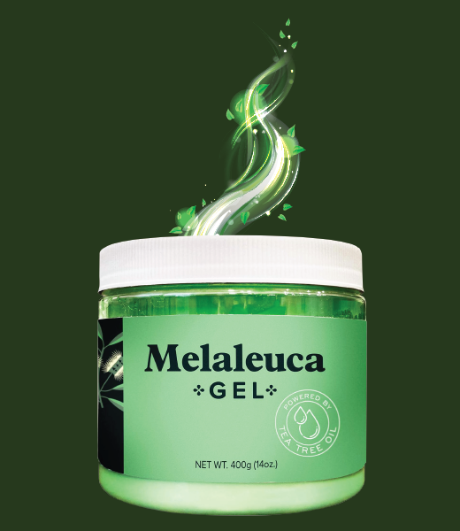 Melaleuca Gel releases tea tree oil vapor into the air to freshen it