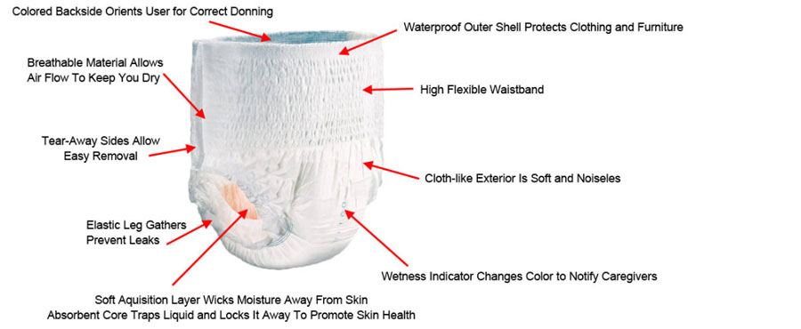 Adult Pullups Incontinence Diapers - Protective Underwear Anatomy